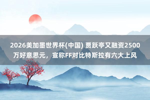 2026美加墨世界杯(中國) 賈躍亭又融資2500萬好意思元，宣稱FF對比特斯拉有六大上風