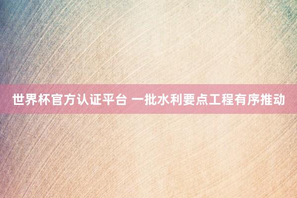 世界杯官方認(rèn)證平臺(tái) 一批水利要點(diǎn)工程有序推動(dòng)