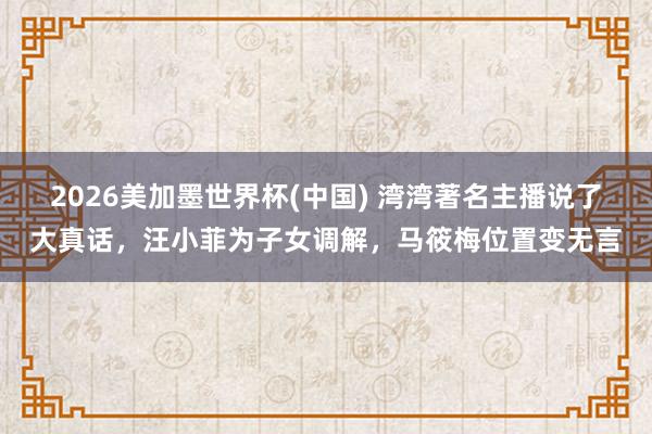 2026美加墨世界杯(中國) 灣灣著名主播說了大真話，汪小菲為子女調解，馬筱梅位置變無言