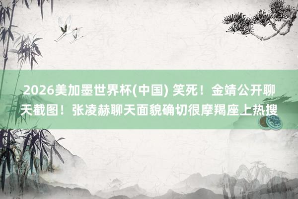 2026美加墨世界杯(中國) 笑死！金靖公開聊天截圖！張凌赫聊天面貌確切很摩羯座上熱搜