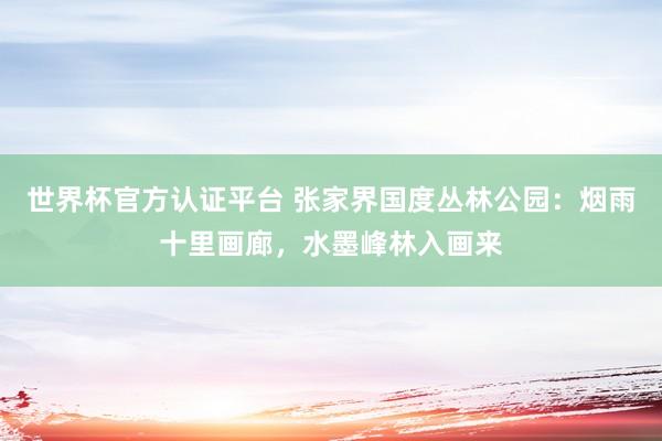 世界杯官方認證平臺 張家界國度叢林公園：煙雨十里畫廊，水墨峰林入畫來