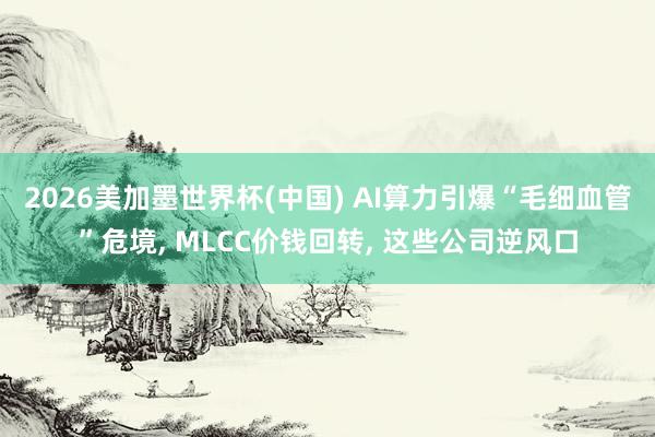 2026美加墨世界杯(中國) AI算力引爆“毛細(xì)血管”危境, MLCC價錢回轉(zhuǎn), 這些公司逆風(fēng)口