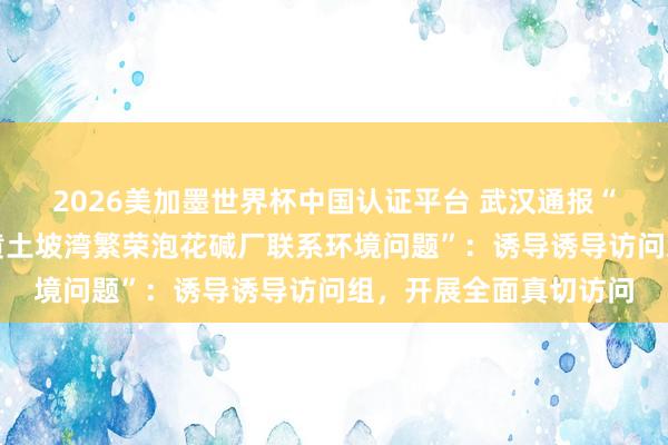2026美加墨世界杯中國認證平臺 武漢通報“新洲區李集街張信村黃土坡灣繁榮泡花堿廠聯系環境問題”：誘導誘導訪問組，開展全面真切訪問
