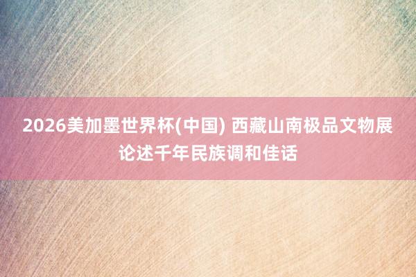 2026美加墨世界杯(中國) 西藏山南極品文物展論述千年民族調和佳話