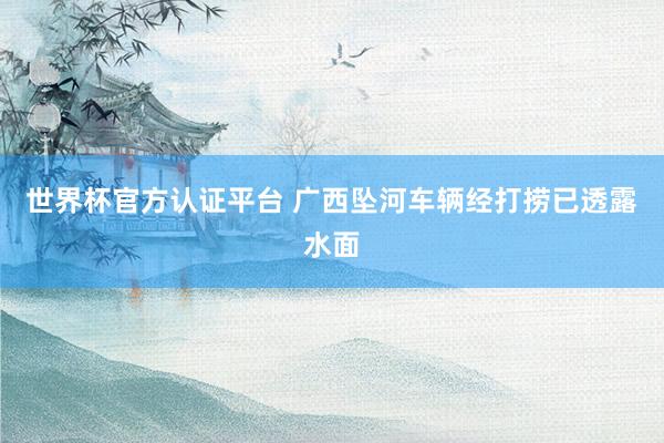 世界杯官方認(rèn)證平臺 廣西墜河車輛經(jīng)打撈已透露水面