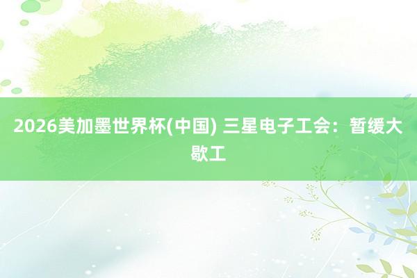 2026美加墨世界杯(中國(guó)) 三星電子工會(huì)：暫緩大歇工
