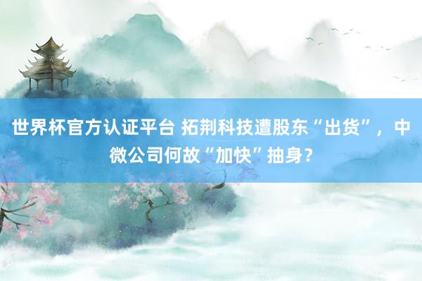 世界杯官方認證平臺 拓荊科技遭股東“出貨”，中微公司何故“加快”抽身？