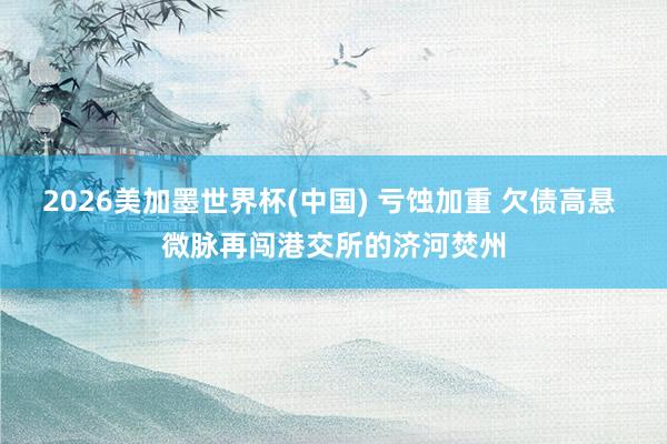2026美加墨世界杯(中國) 虧蝕加重 欠債高懸 微脈再闖港交所的濟(jì)河焚州