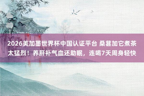 2026美加墨世界杯中國認證平臺 桑葚加它煮茶太猛烈！養肝補氣血還助眠，連喝7天周身輕快