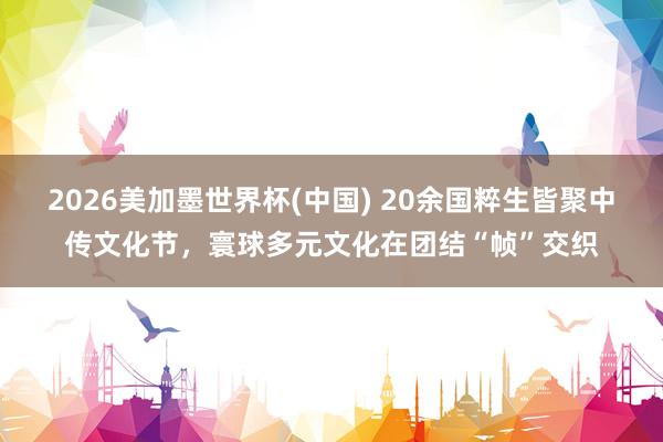 2026美加墨世界杯(中國) 20余國粹生皆聚中傳文化節，寰球多元文化在團結“幀”交織