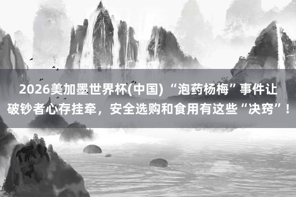 2026美加墨世界杯(中國) “泡藥楊梅”事件讓破鈔者心存掛牽，安全選購和食用有這些“決竅”！