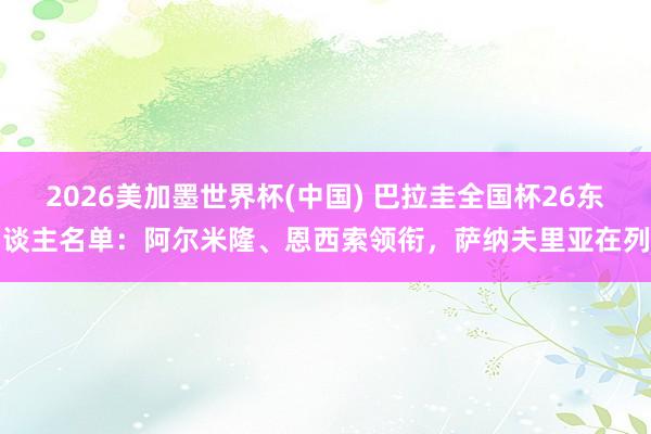 2026美加墨世界杯(中國) 巴拉圭全國杯26東談主名單：阿爾米隆、恩西索領銜，薩納夫里亞在列