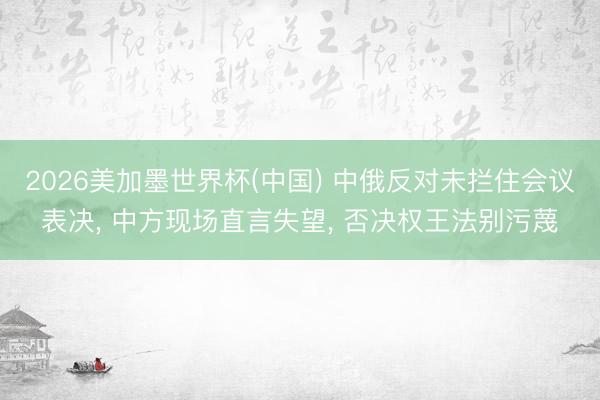 2026美加墨世界杯(中國) 中俄反對未攔住會議表決， 中方現(xiàn)場直言失望， 否決權(quán)王法別污蔑